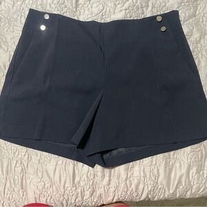 Ann Taylor Blue Skorts Tailored Design